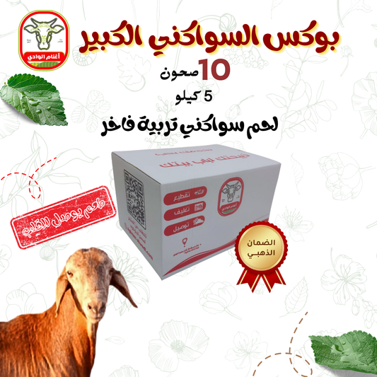 بوكس السواكني الكبير