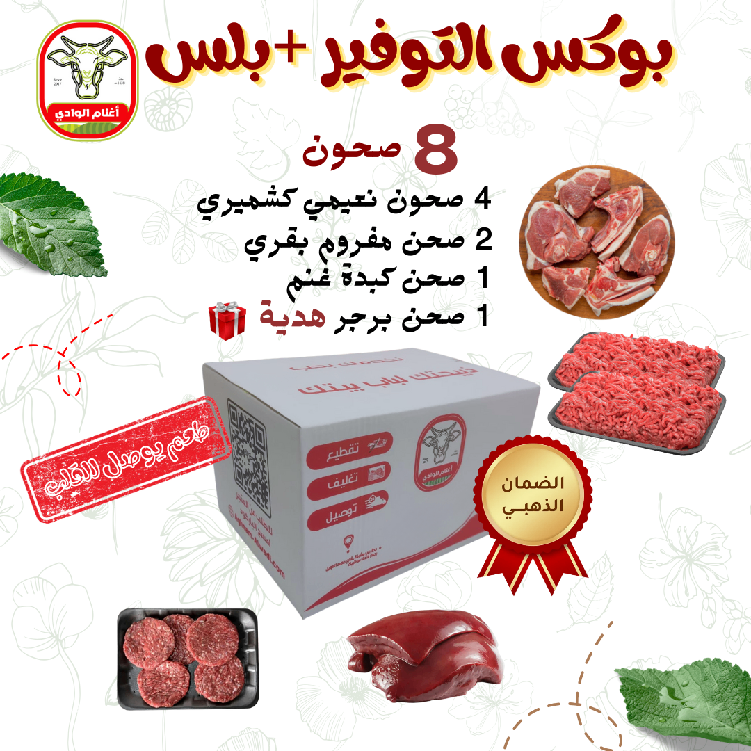 بوكس التوفير بلس